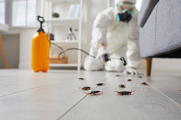 Trusted Cockroach Control service in Homestead, PA - Nex Pest Control