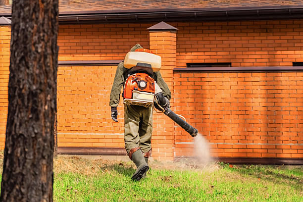 Trusted Termite Control service in Homestead, PA - Nex Pest Control